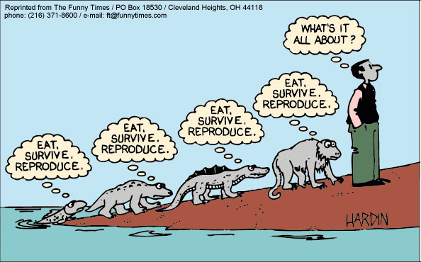 Evolutie, de truc van het leven. Waar het om draait? Eten, overleven, voortplanten, eten . . .