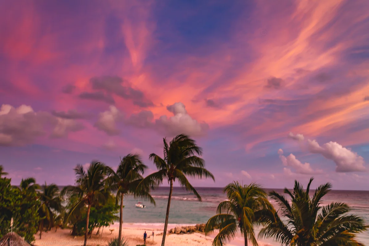 barbados-IMG_5962.jpg