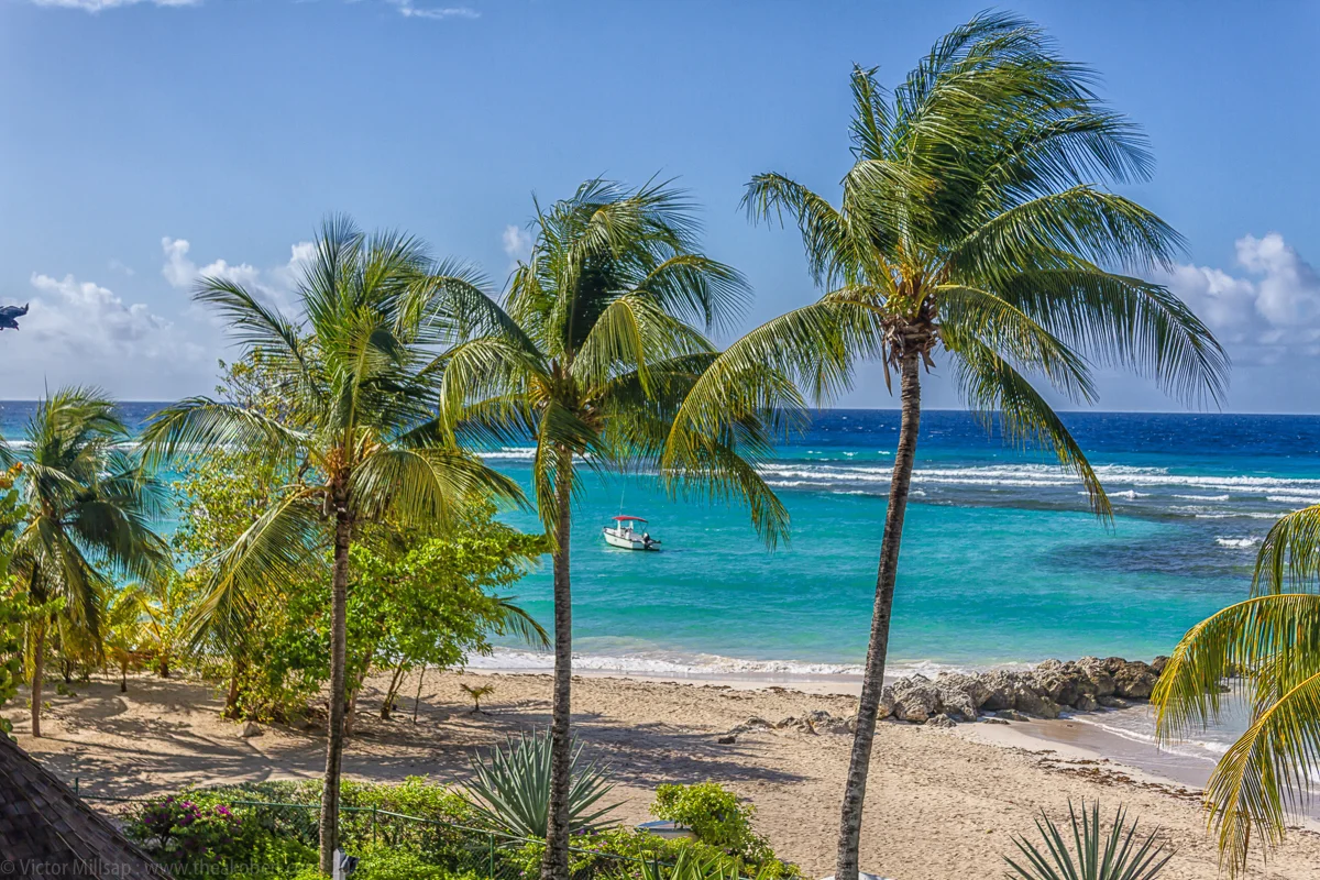 barbados-IMG_6043-Edit.jpg