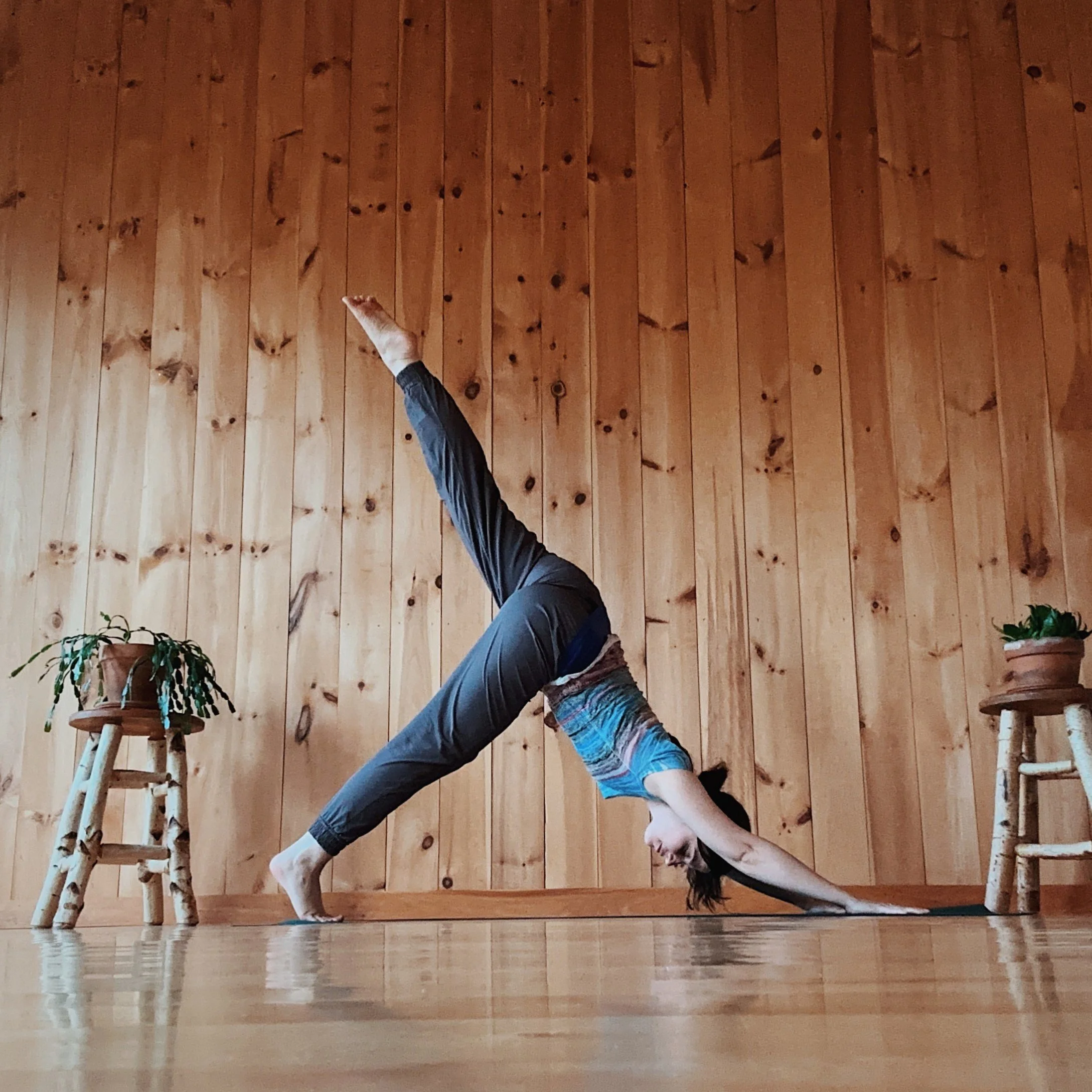 Trauma Sensitive Yoga: A 6-week Series 