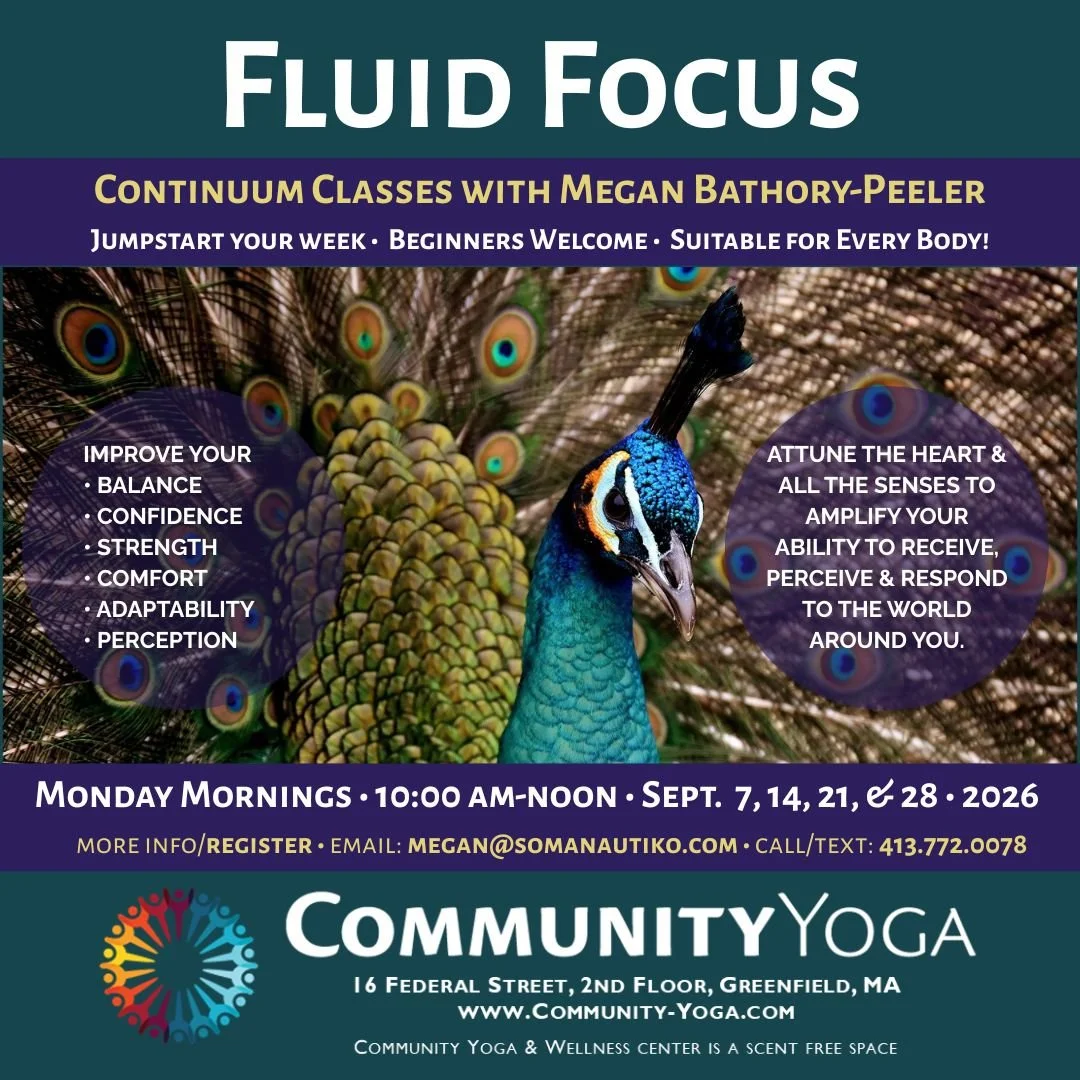 Monday Morning Continuum: Fluid Focus