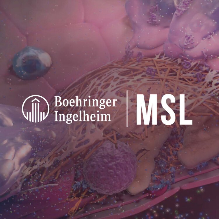 Boehringer Ingelhiem MSL Conference
