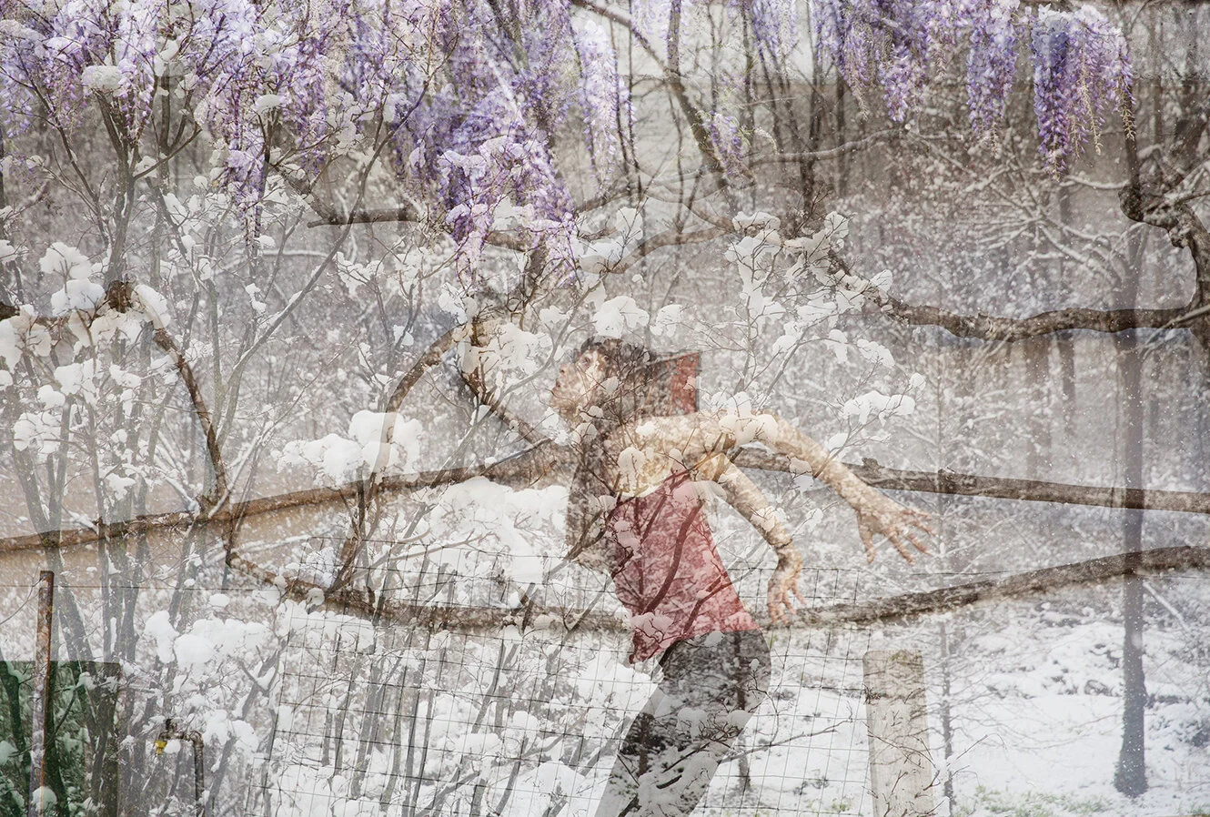   untitled (test 8, n'est nest) ,  2020   archival pigment print 