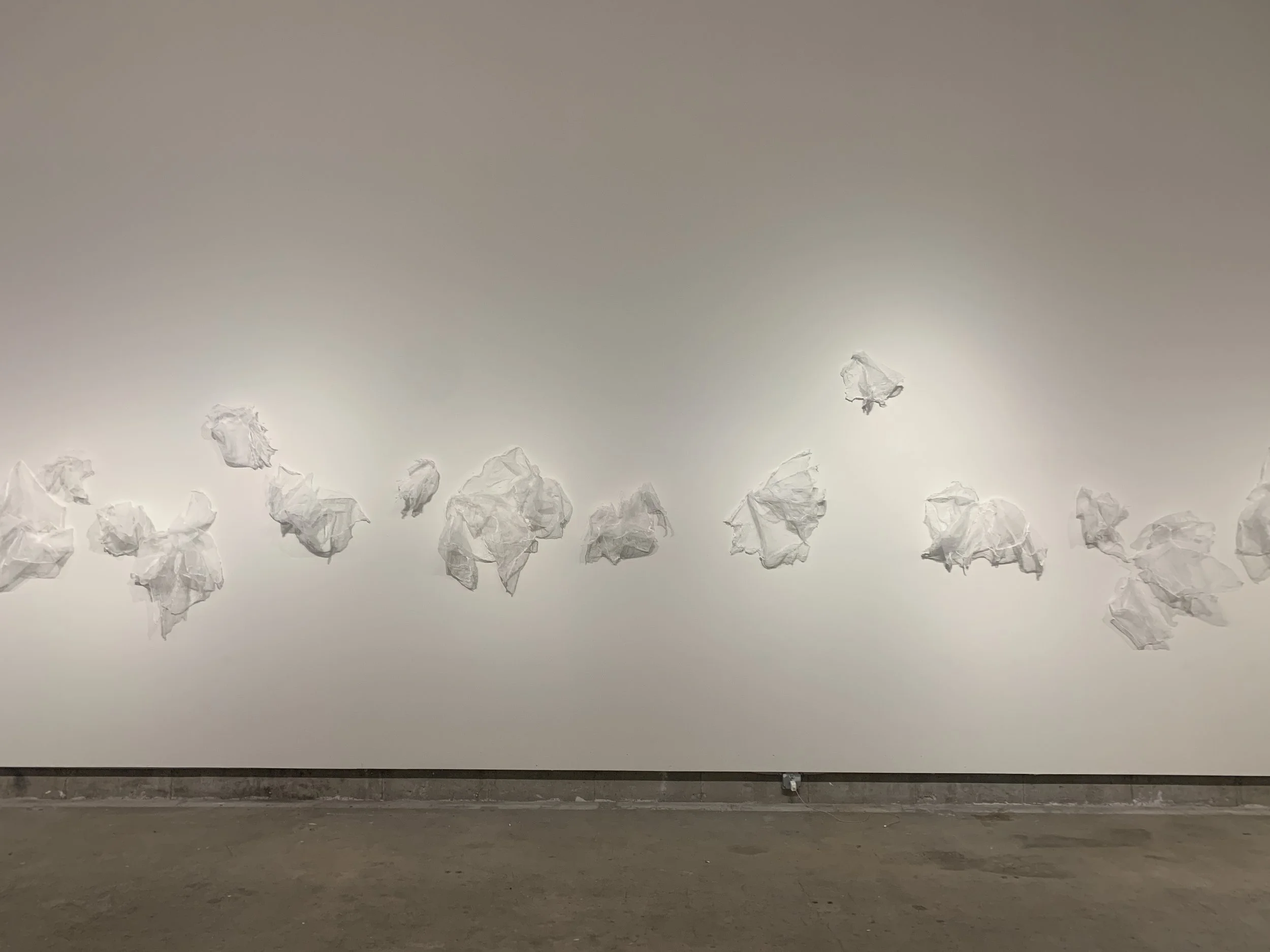   woven female landscape,  2020  wall installation, 3S Artspace, Portsmouth, NH  cheese cloth, glue, pins on 90’ wall 