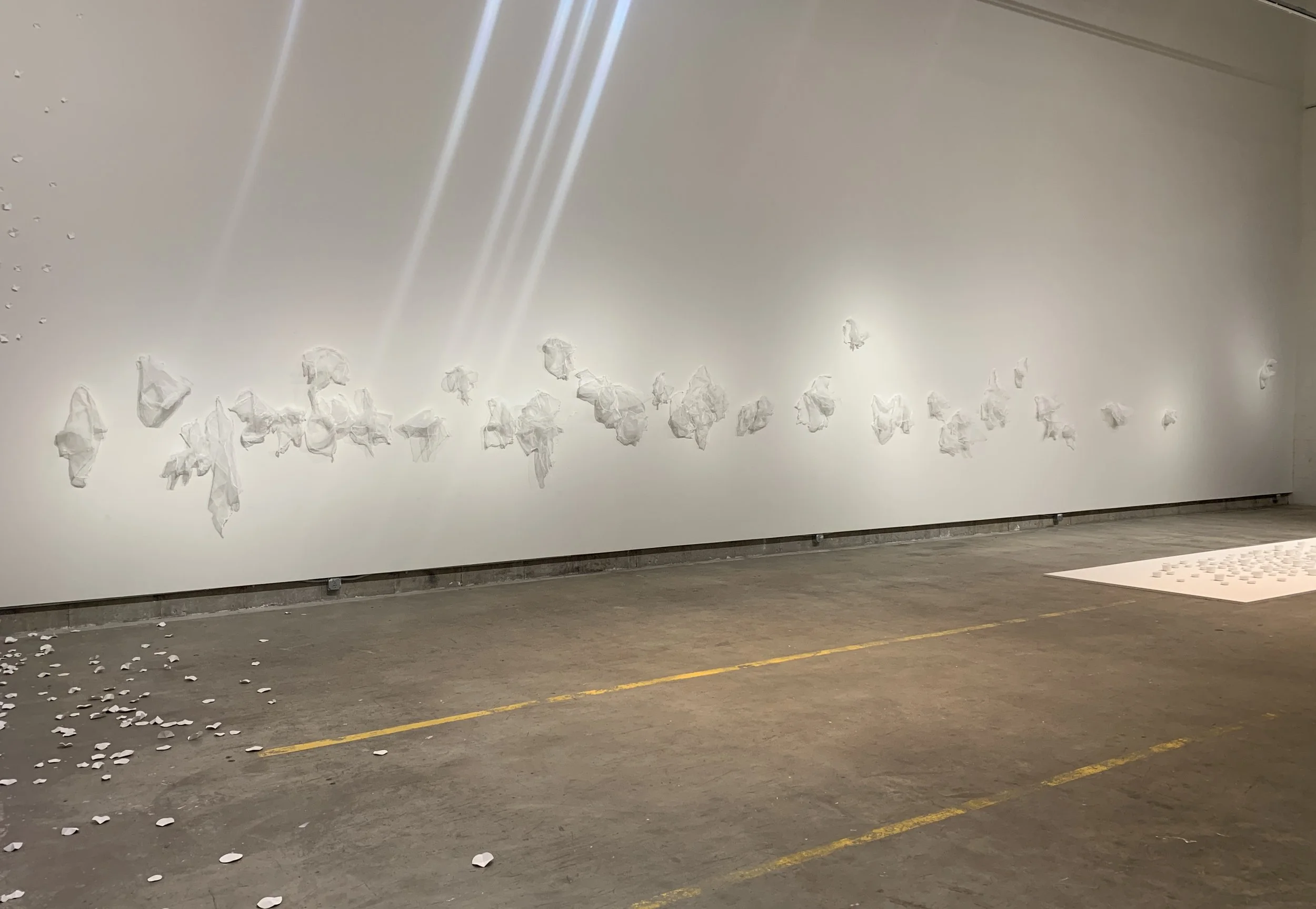   woven female landscape,  2020  wall installation, 3S Artspace, Portsmouth, NH  cheese cloth, glue, pins on 90’ wall 