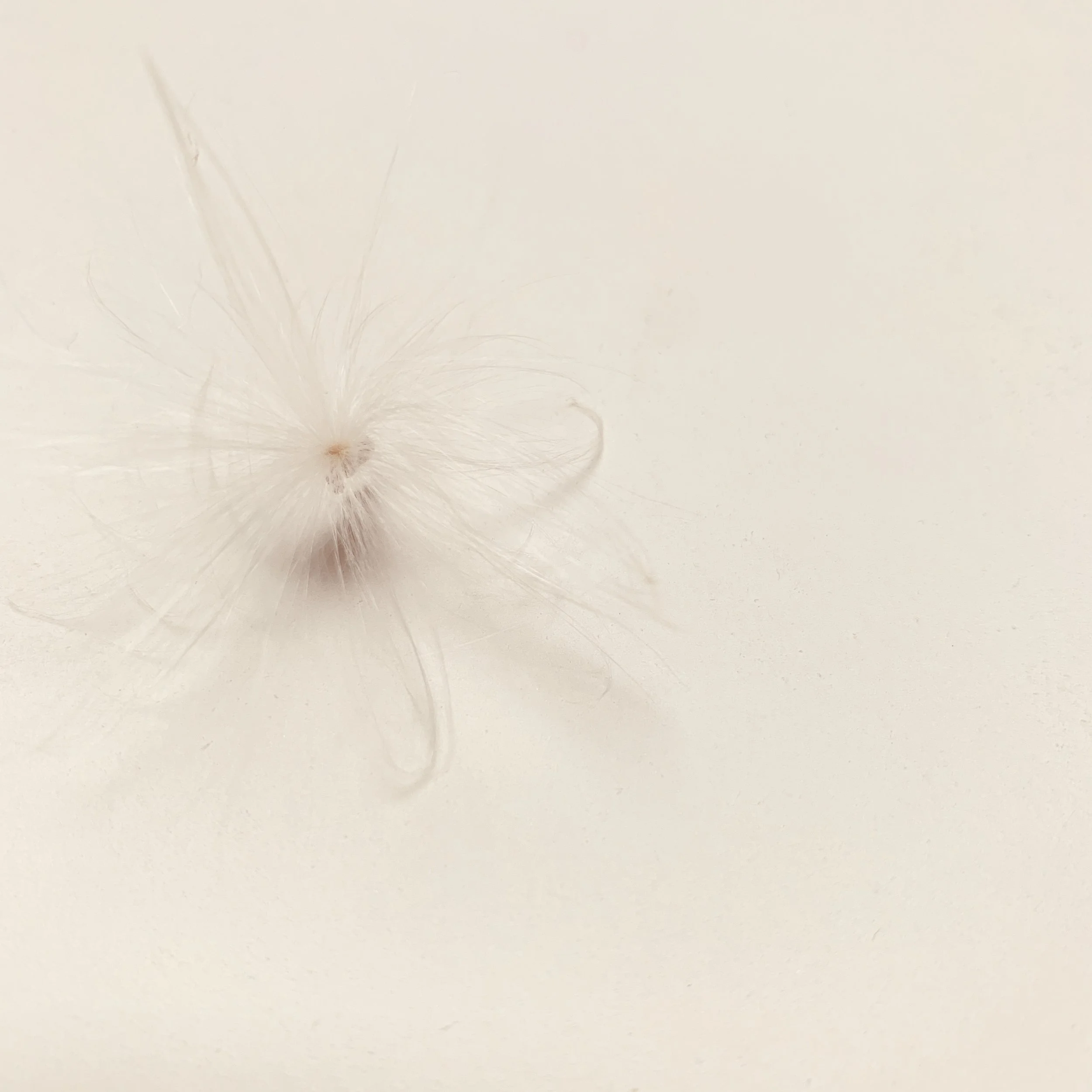 moments of motherhood