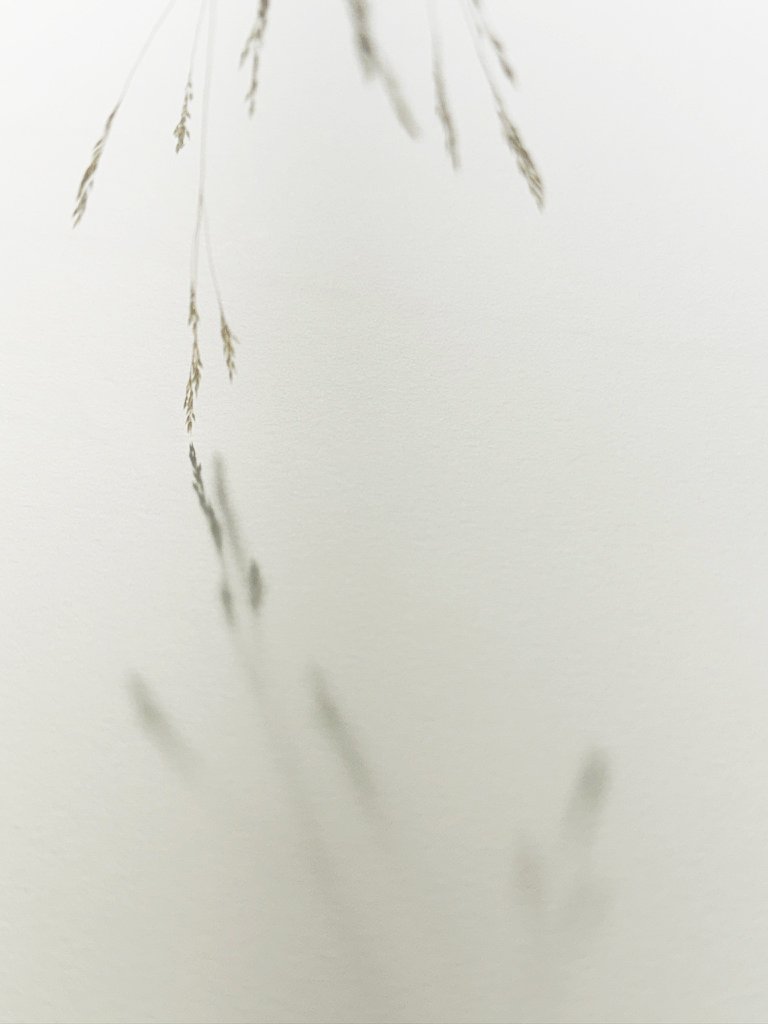  by sunlight, by moonlight (left panel of diptych) 