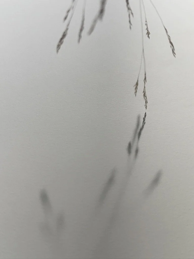  by sunlight, by moonlight (right panel of diptych) 