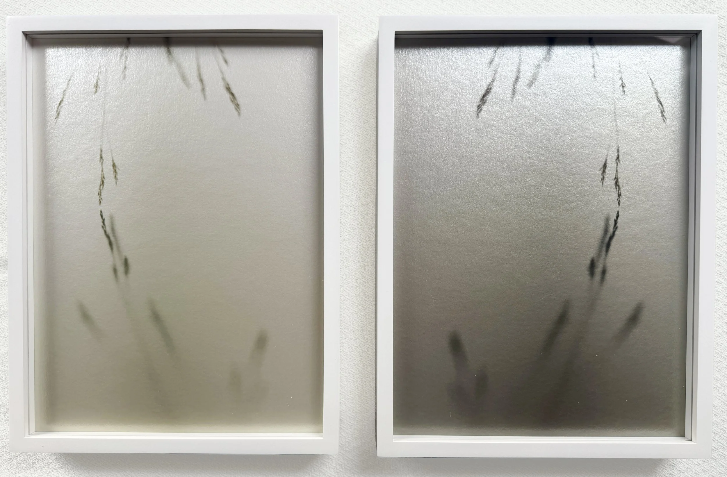   by sunlight, by moonlight,  2025  archival pigment print, diptych, framed  12” x 16” each   
