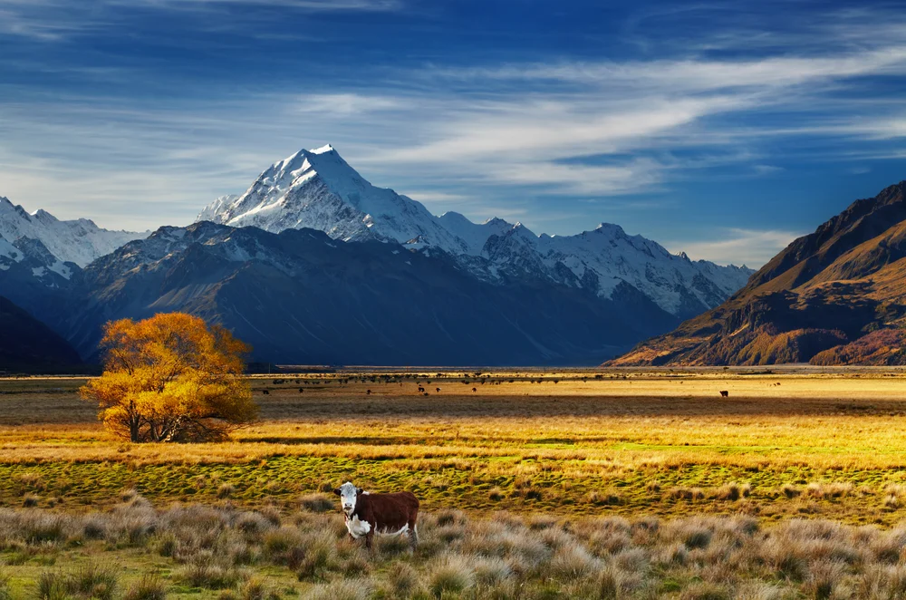 shutterstock_192205328.jpg