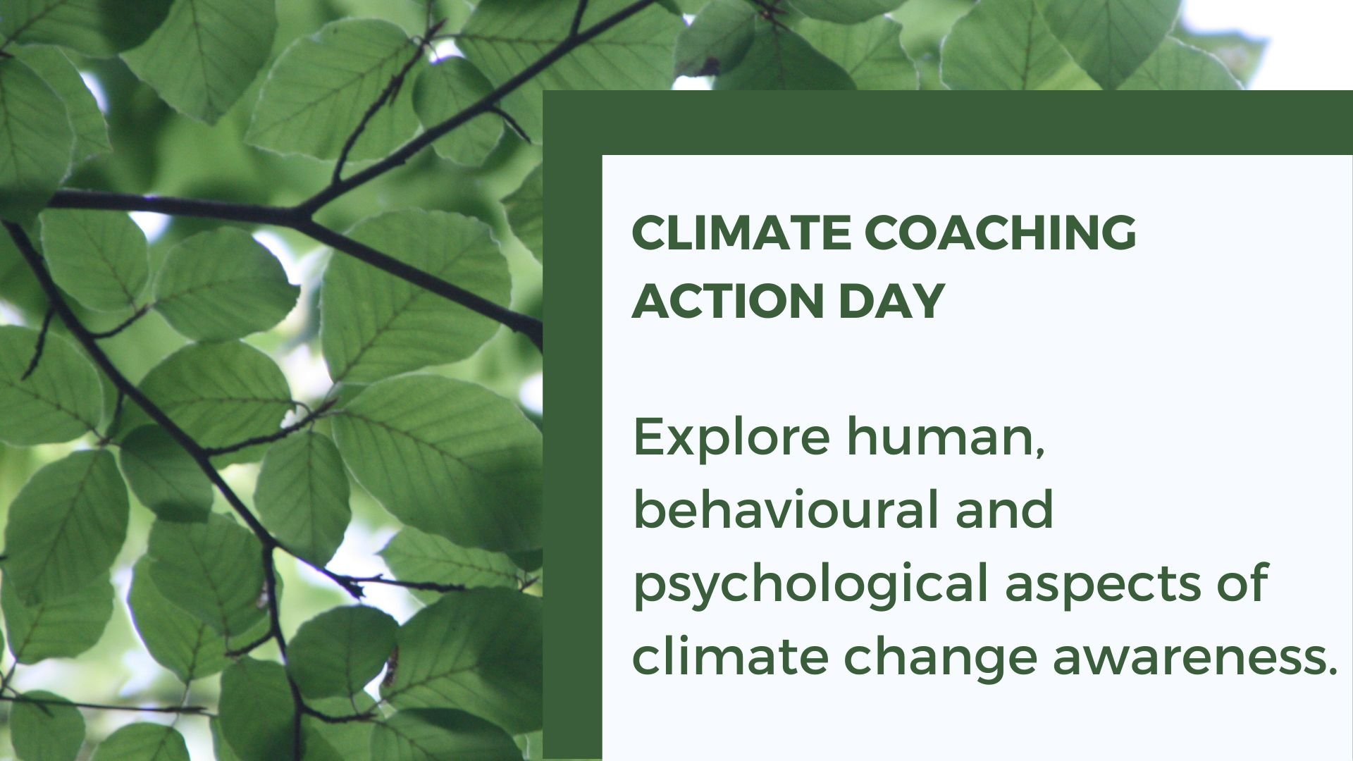 Being a climate conscious coach