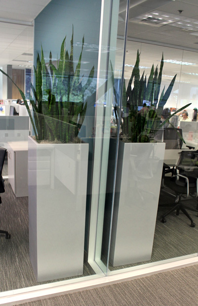 Aluminum Office Front Systems Raco Design Strategies