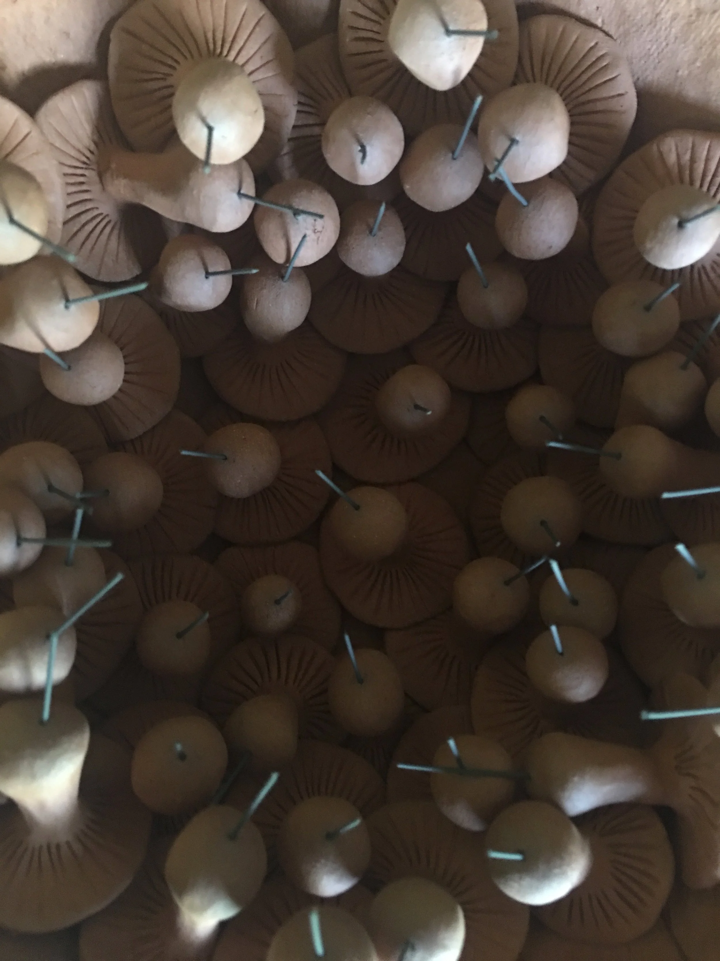 Close-up photo of terra-cotta mushrooms picks. These little accents look really neat in a potted plant or kokedama, not to mention quite a cool addition to any fairy garden! 