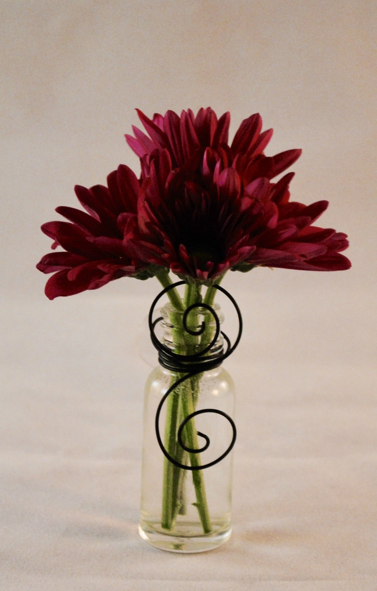 Clear Suction Cup Vase