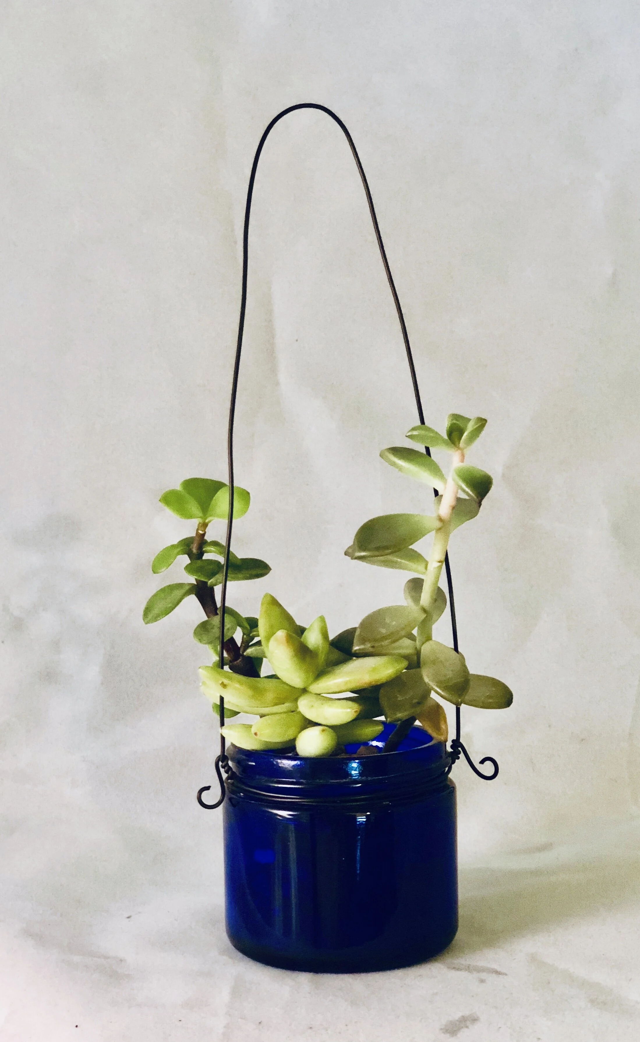 Cobalt Hanging Jar