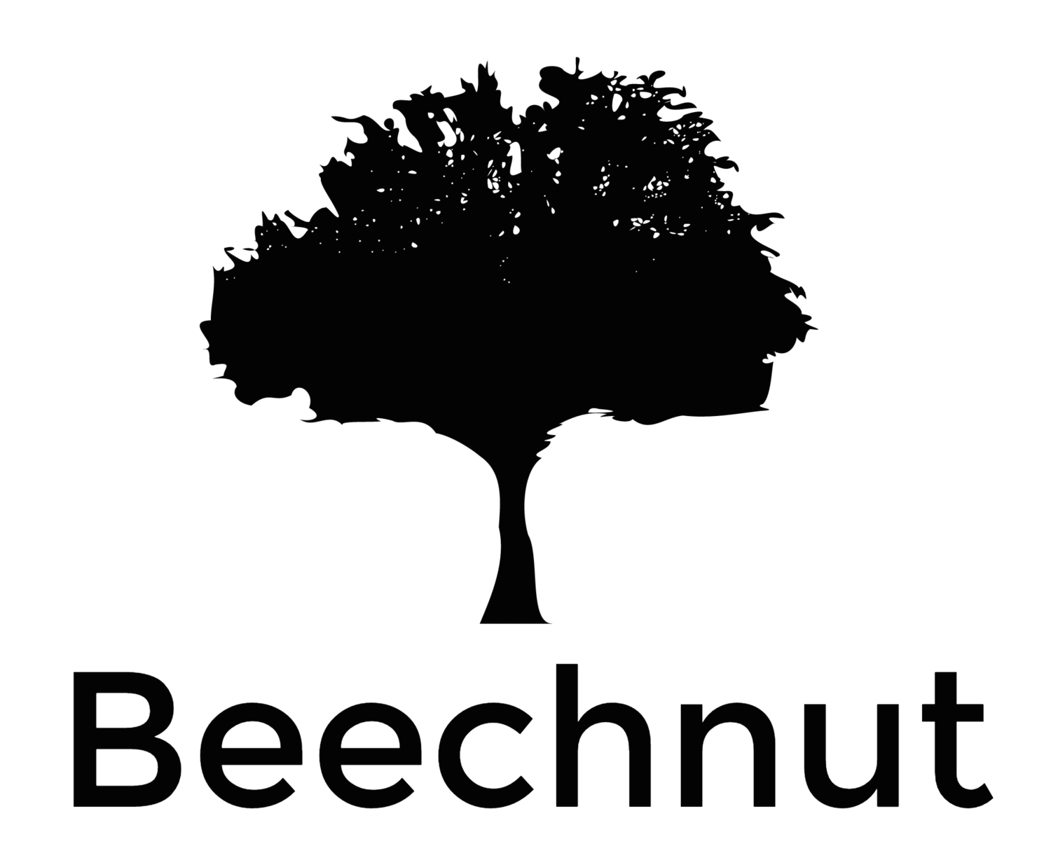 Beechnut Capital Management