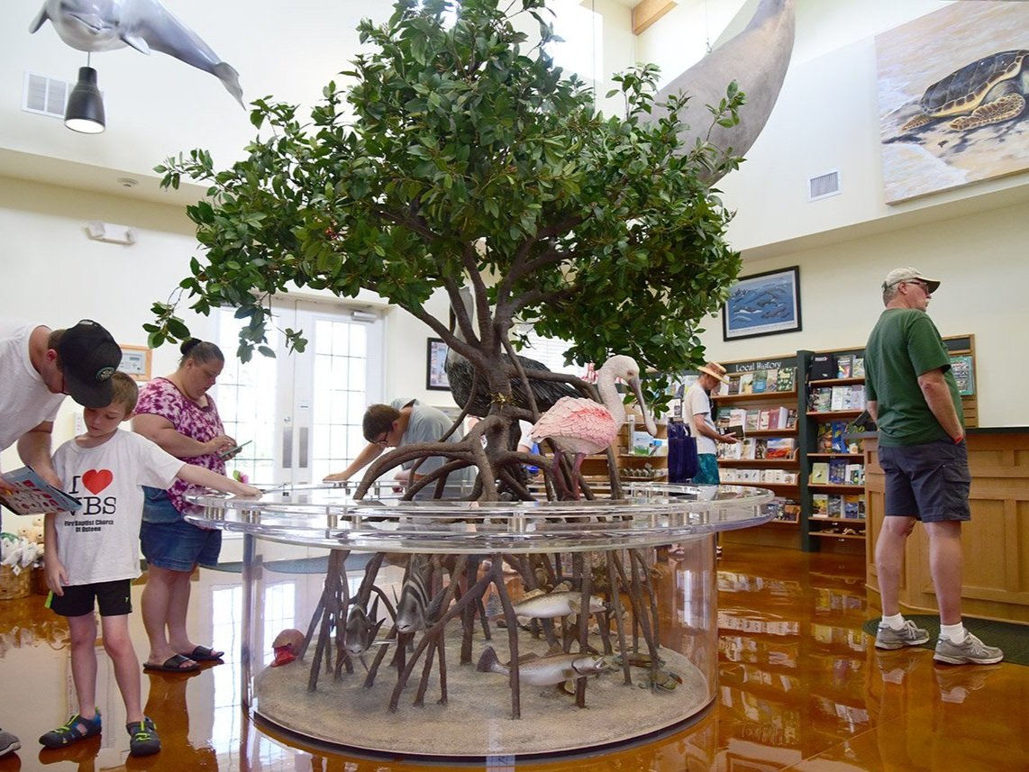 Artificial Tree and Biological Models