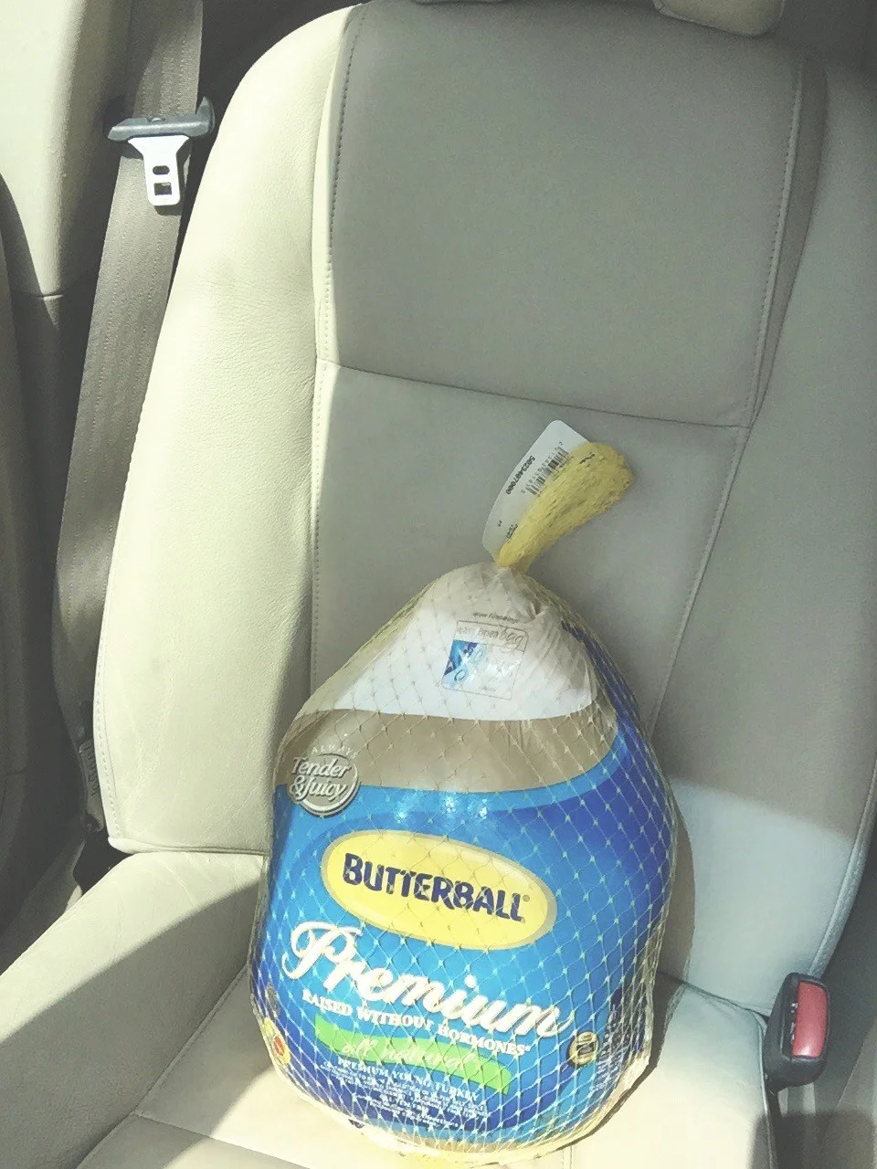 I considered buckling him in. I didn't.