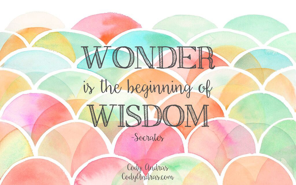 What Wisdom Looks Like | by Cody Andras | http://www.codyandras.com/what-wisdom-looks-like/ ‎