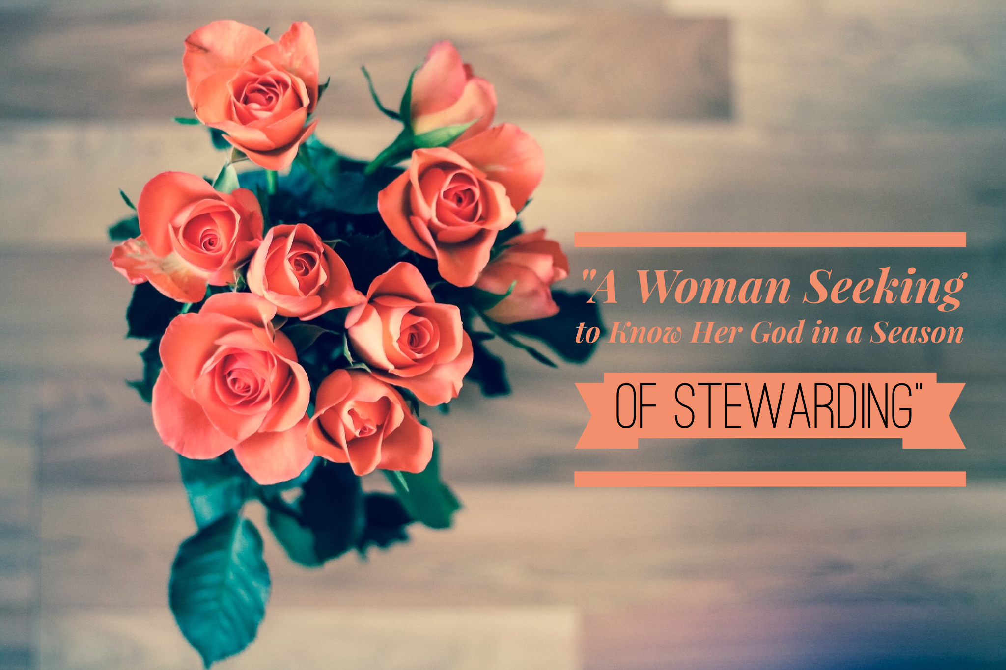 A Woman Seeking to Know Her God in a Season of Stewarding | www.codyandras.com/2017/9/6/a-woman-seeking-to-know-her-god-in-a-season-of-stewarding