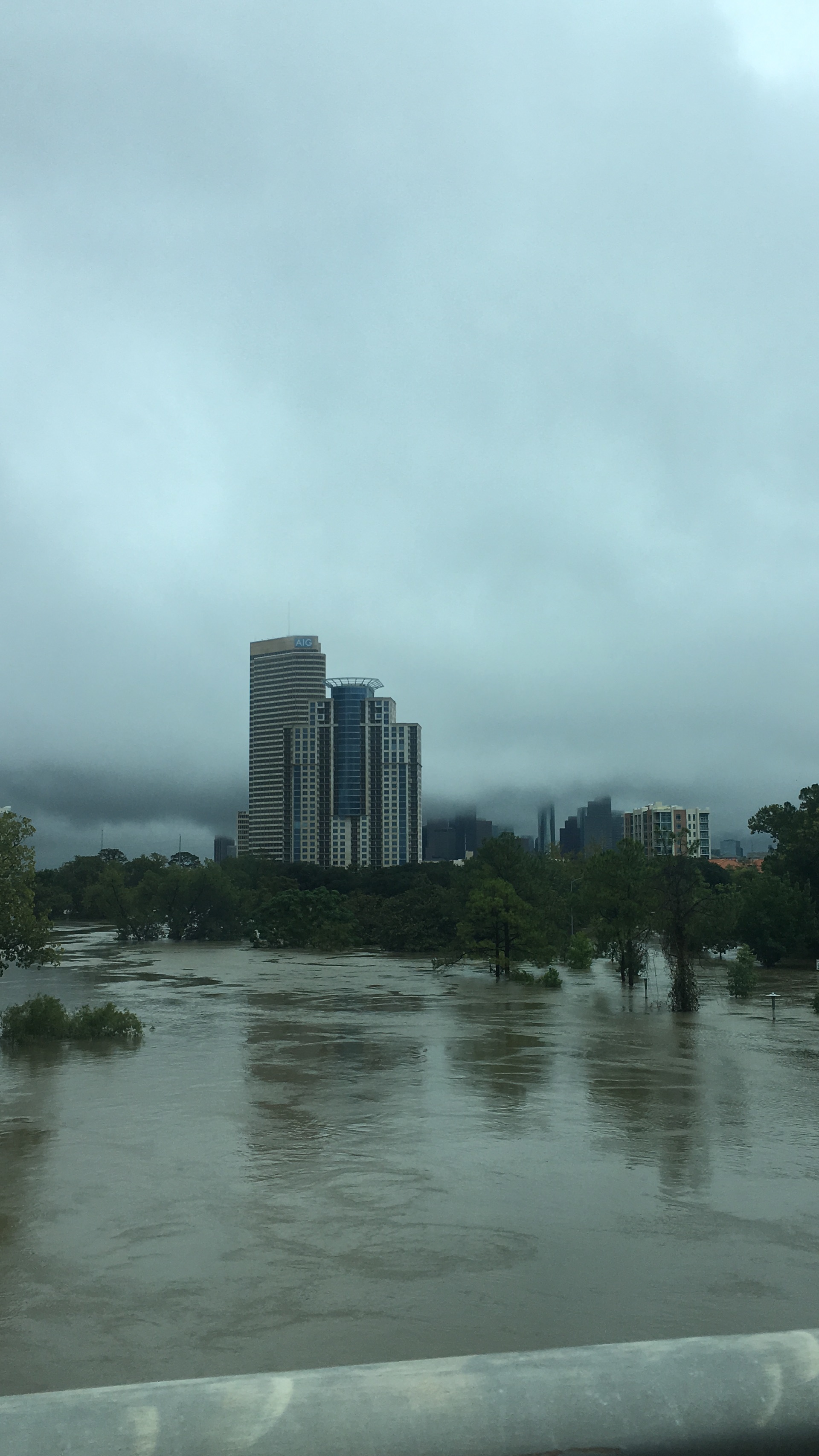 And here's a look toward downtown. That's Buffalo Bayou up out of its banks and covering two major roads. We live near a bayou. Houston is a marsh. We're used to flooding. This was bizarre.