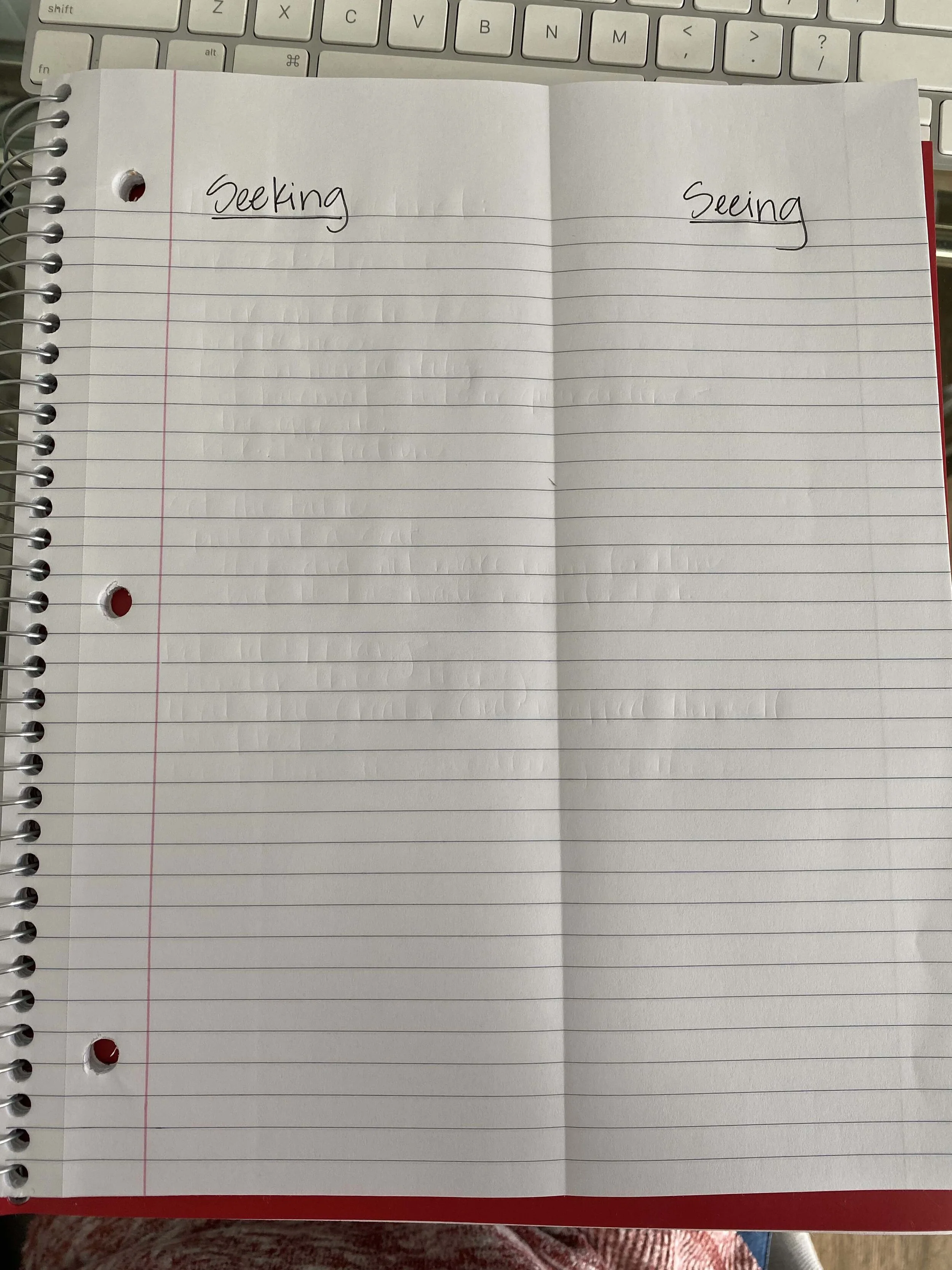 Seeking and Seeing