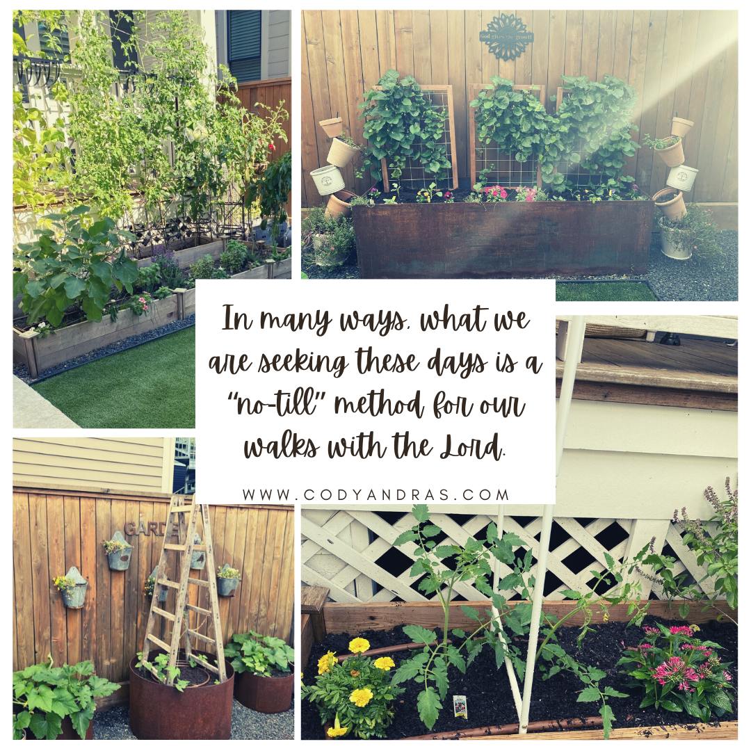 no-till gardening with the lord