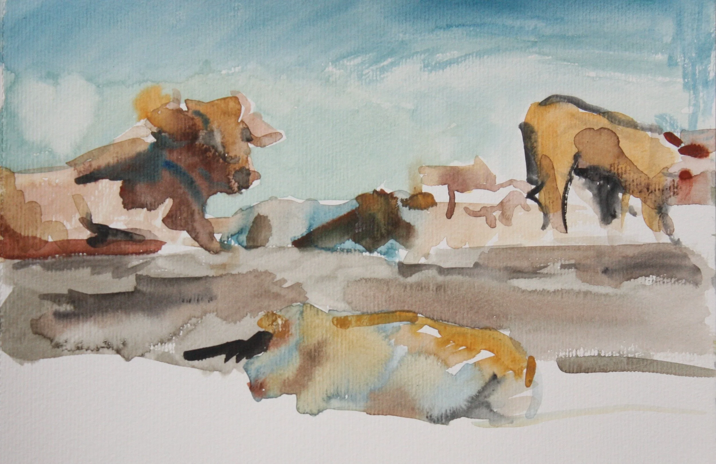 Mucche Favignanesi II