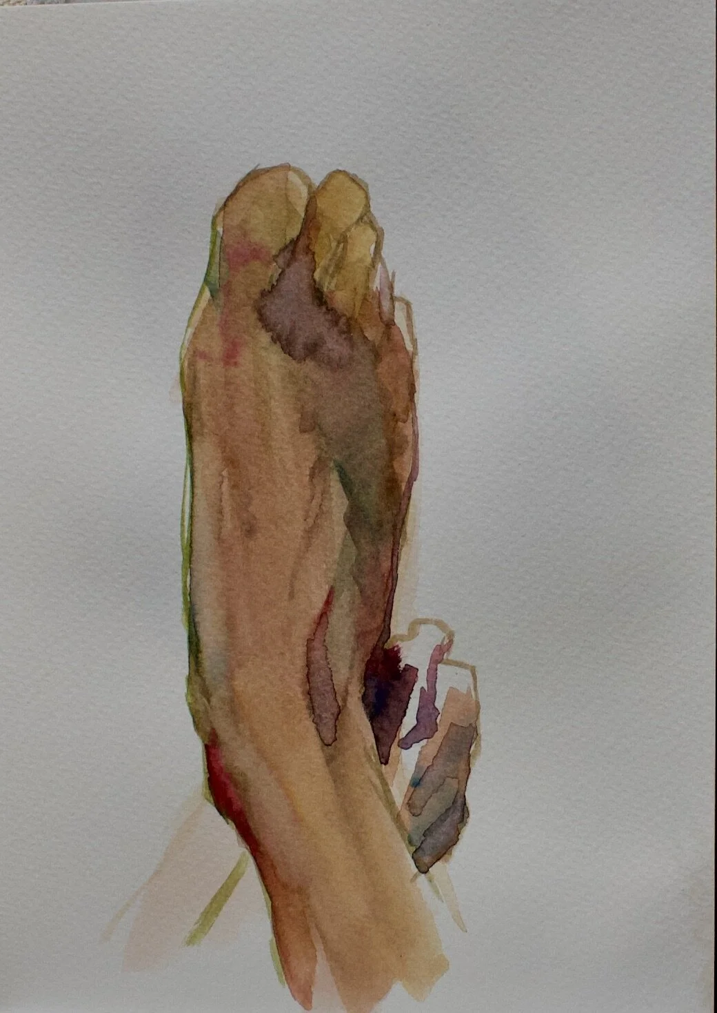 In Menzel's Footsteps