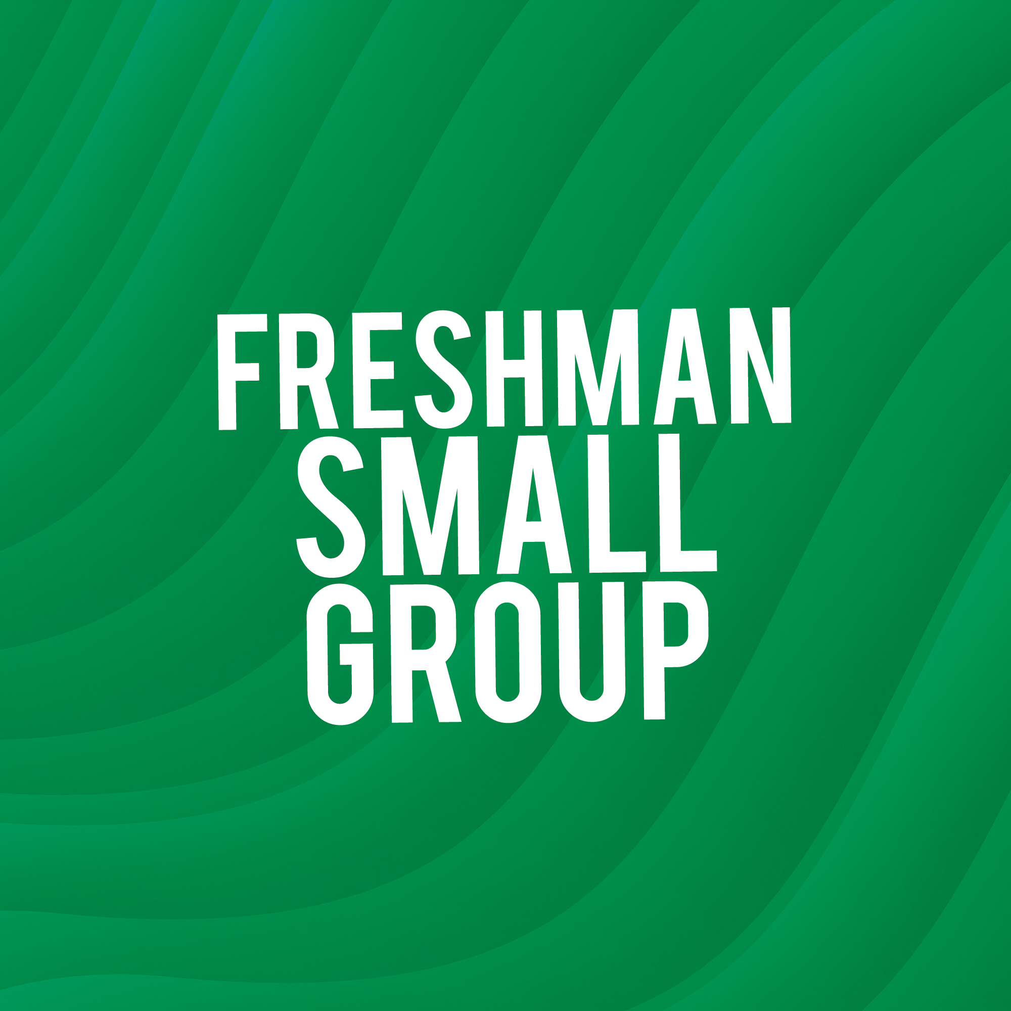 Freshman Small Group