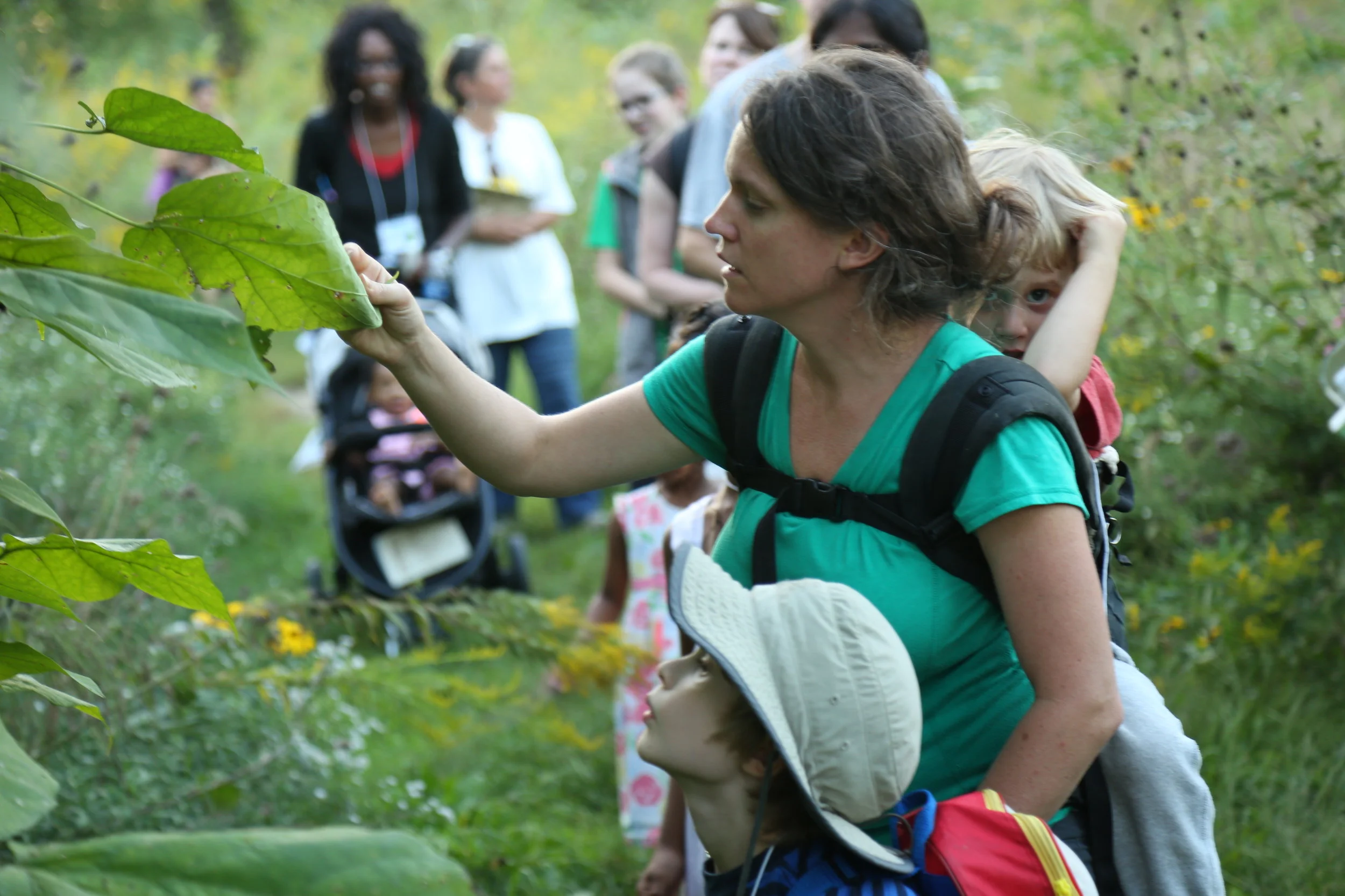 2016.09.25 BioBlitz_Credit needed_Academy of Science-St. Louis  16.jpg