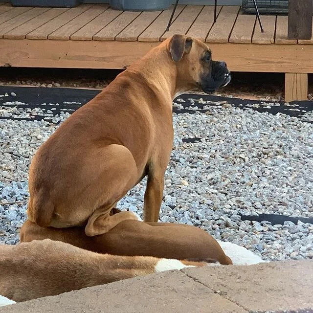 &ldquo;Are you not entertained!?&rdquo; - Gladiator