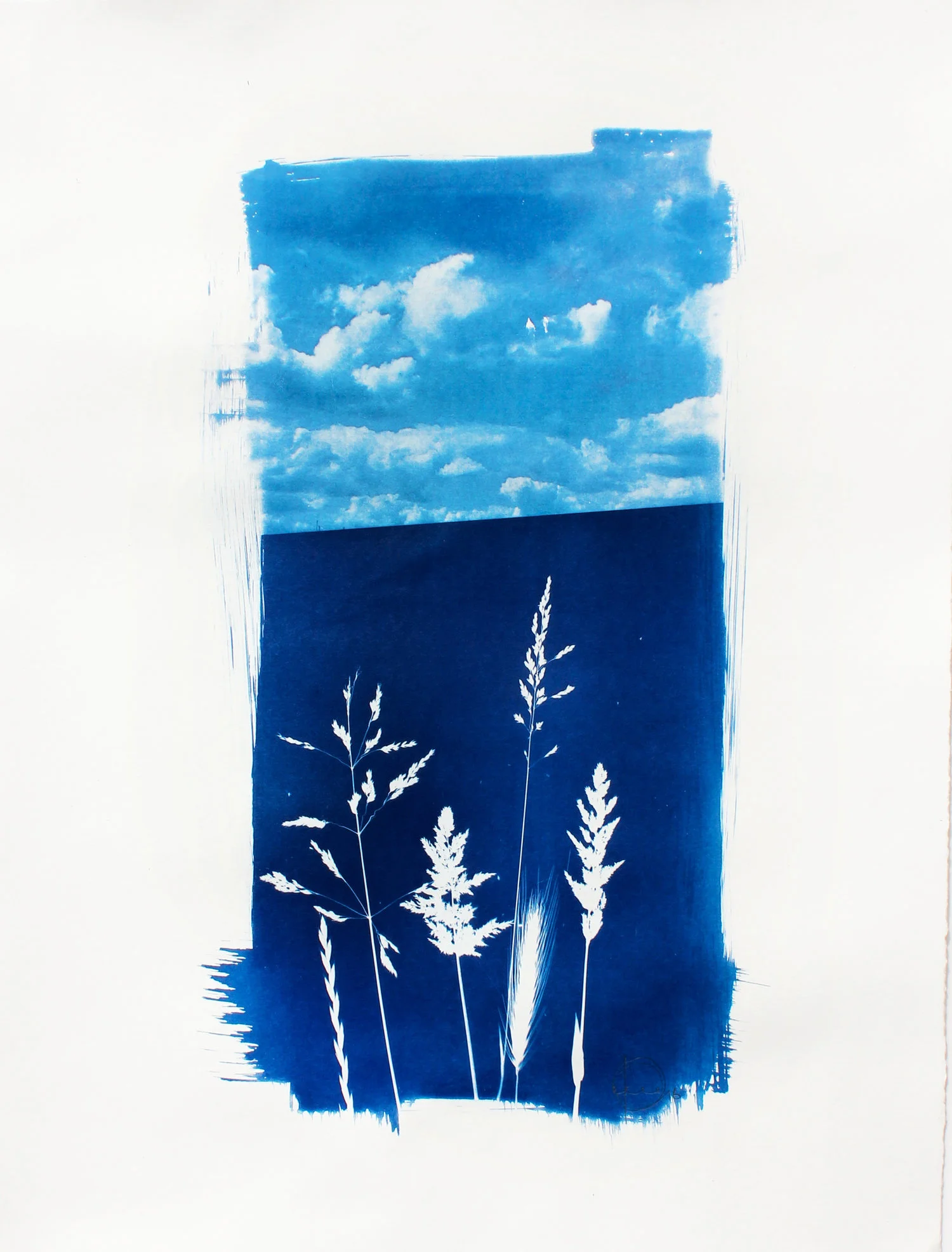 Contact Negative Craig Keenan 55cm x 66cm Cyanotype One Off For more info on the piece click here