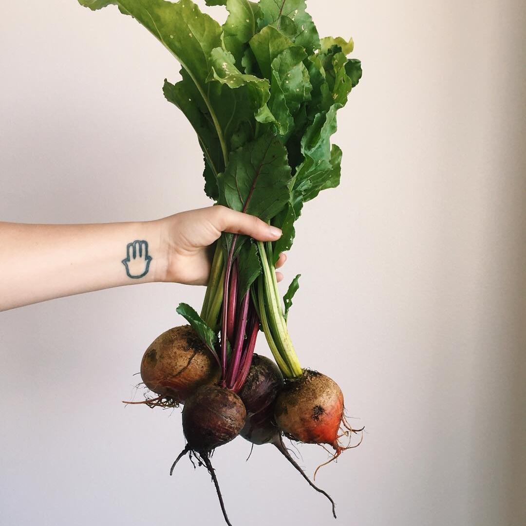 joining a CSA meant having a summer of fresh fruits and veggies and supporting a local, independent farmer
