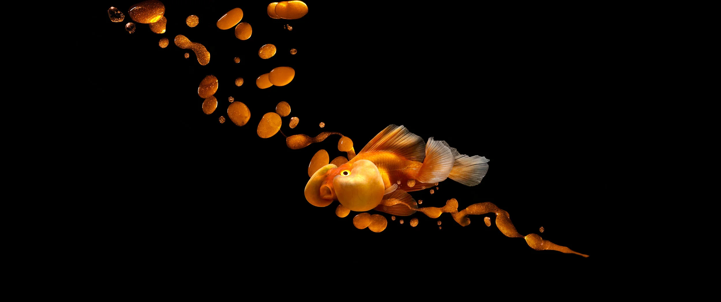 Fishy-2 wip-5.jpg
