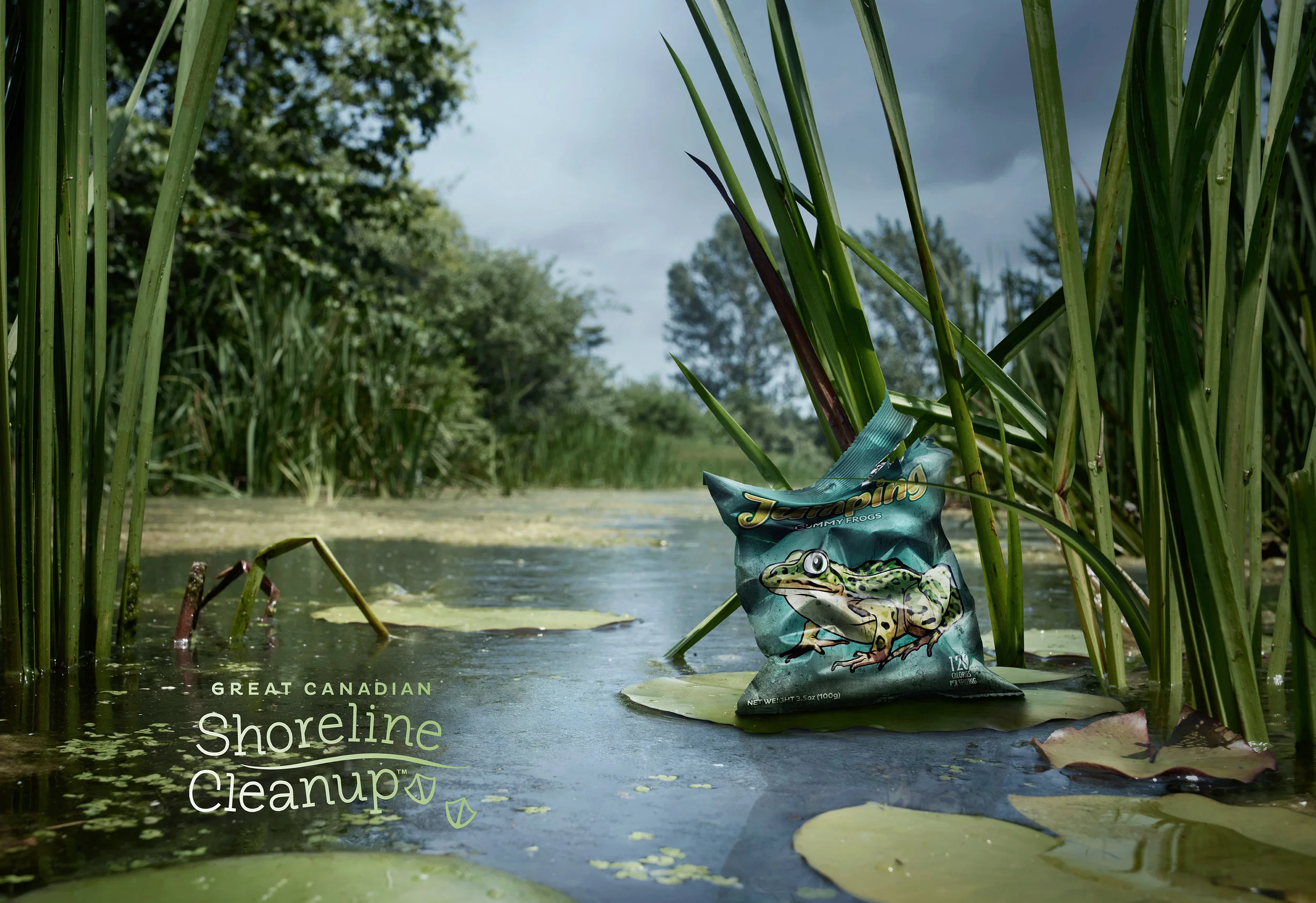 WWF FROG WRAPPER WORKING 7_JA_Flipogram.jpg
