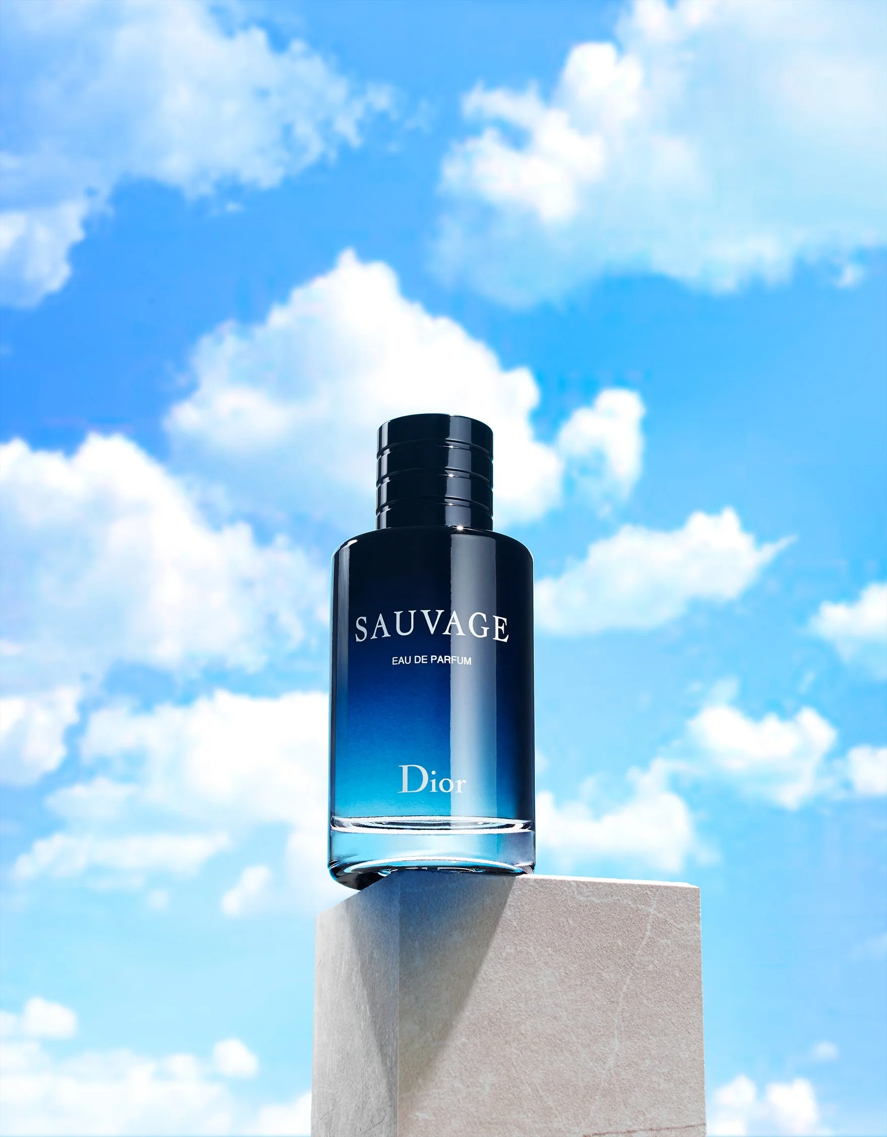 806F4s500_DIOR_WIP_With Sky-6.jpg