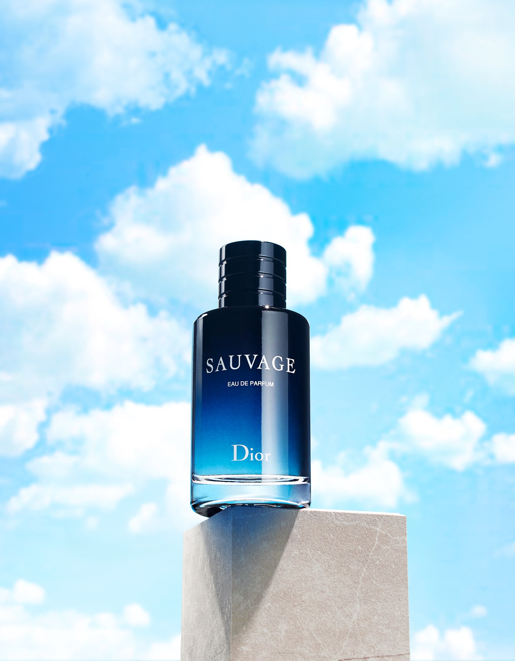 806F4s500_DIOR_WIP_With Sky-7.jpg