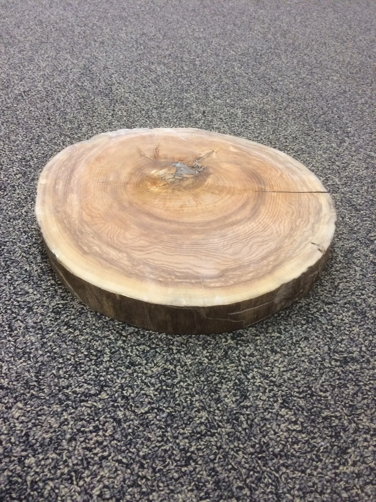 image1.JPG