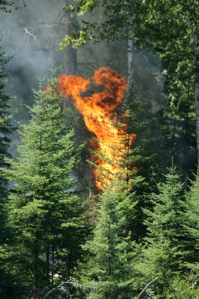 Mica-Bay-Burn-2-683x1024.jpg