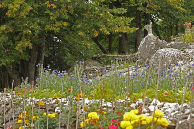 Ellsworth Rock Gardens