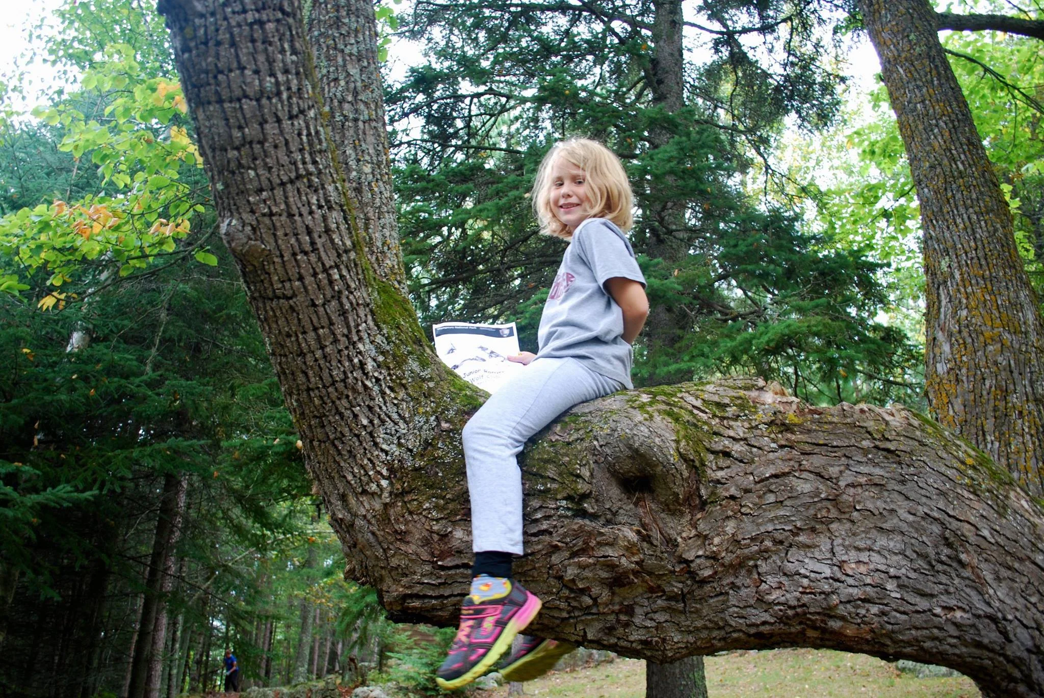 vnpa photo kid in tree.jpg