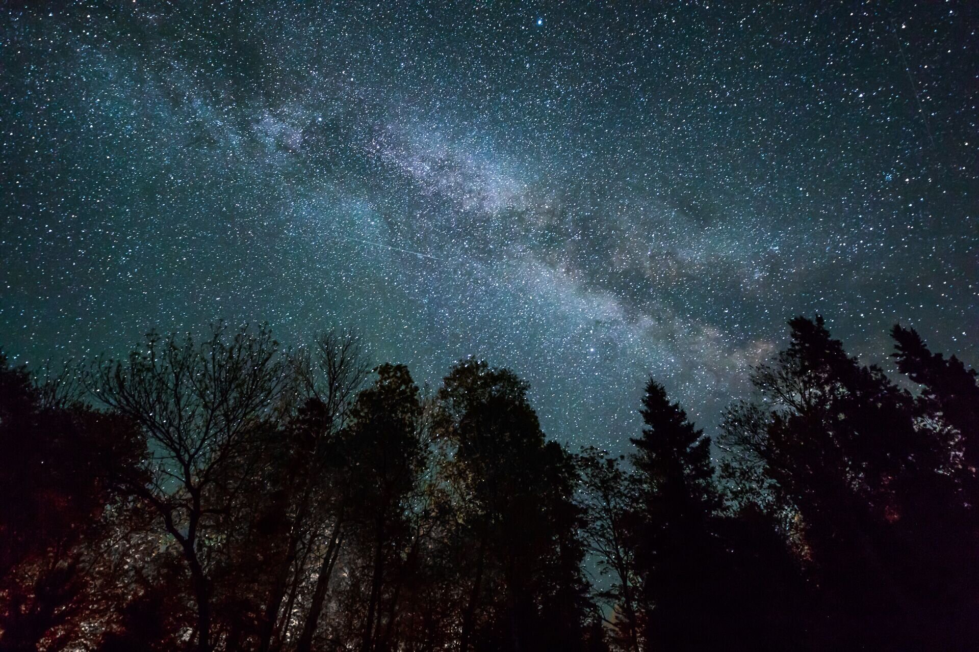 Finding North & Night Sky Exploration (Bell Museum Statewide Star Party) 