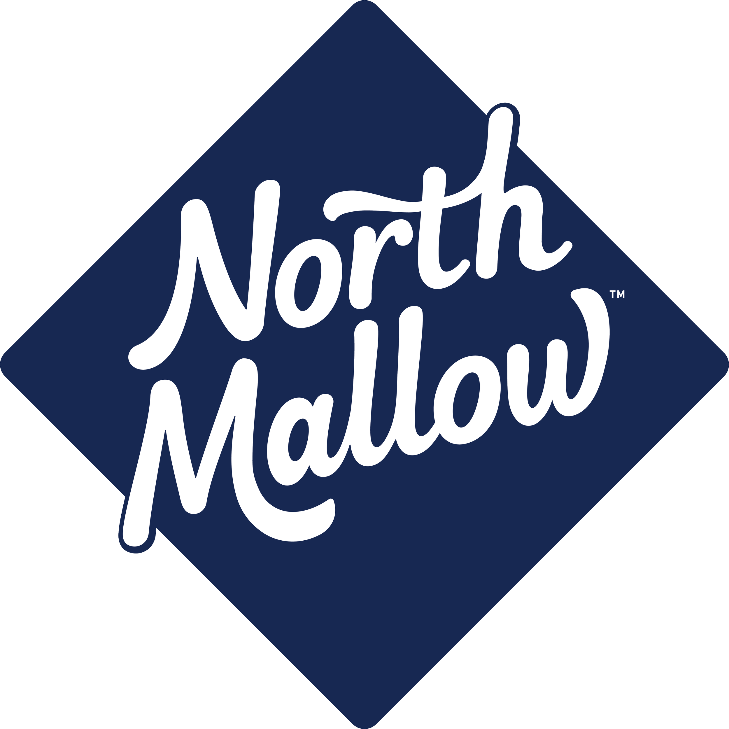 North Mallow Diamond Logo.png