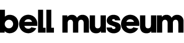 Header-logo.png