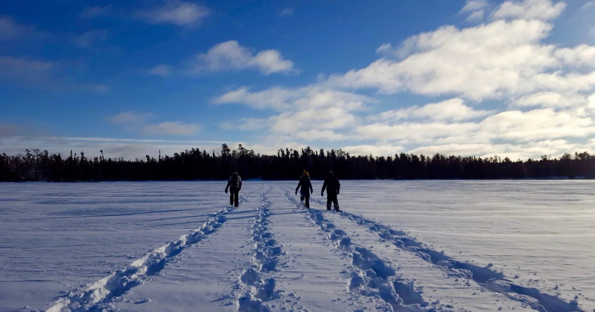 📣🎓Announcing the 2026 Minnesota National Parks Educator Workshop, Saturday January 24, hosted at Rainy Lake Visitor Center in Voyageurs National Park!

Minnesota is home to incredible public lands! How do you bring these special places into your cl
