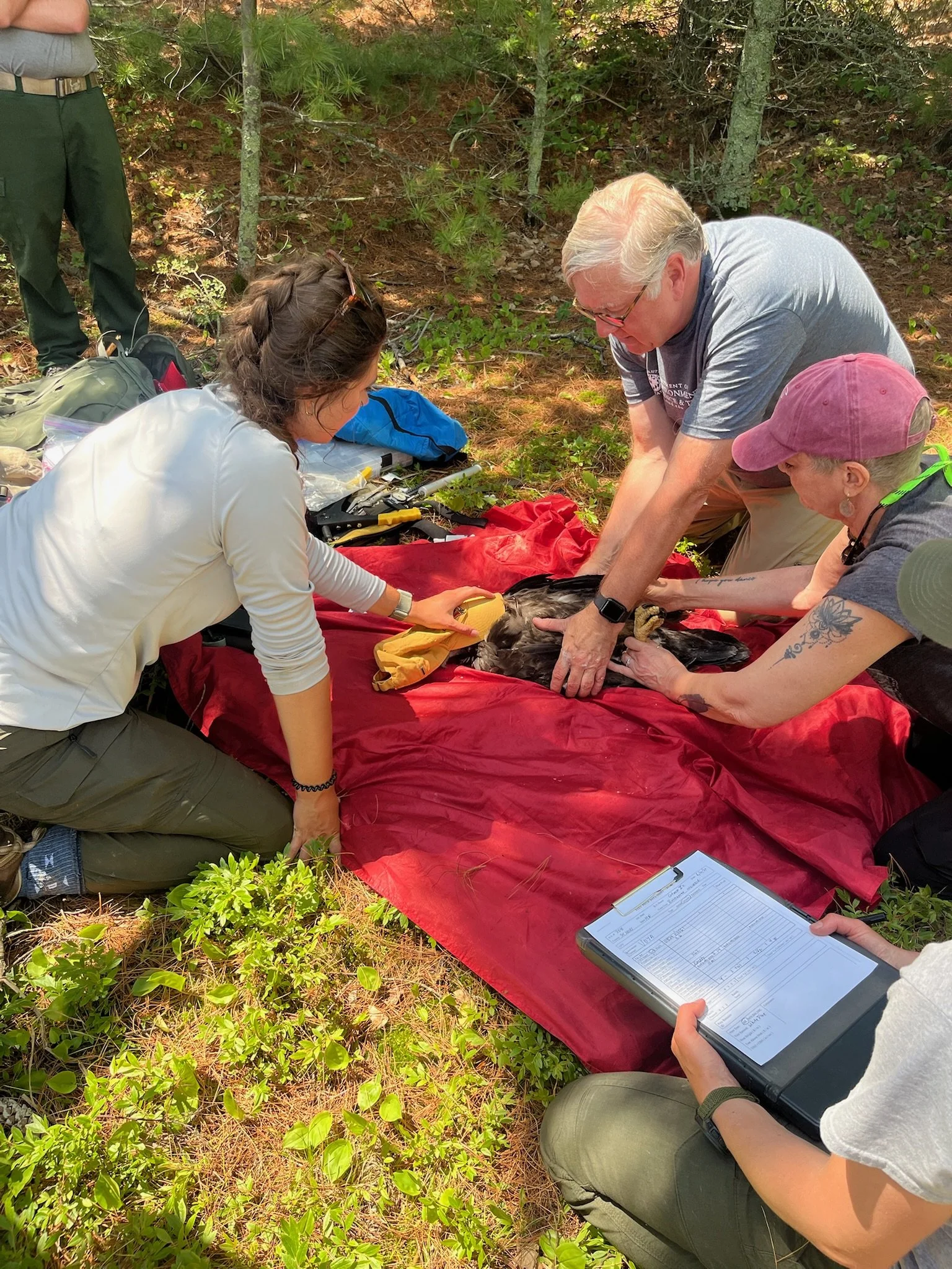 Meet Hannah Renslow: Wildlife and Wetland Field Fellow