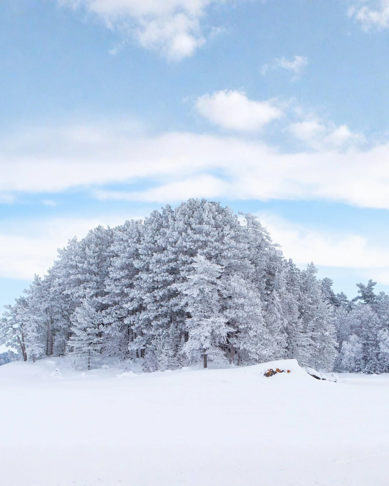 ❄️✨ Happy Winter Solstice! Today marks the shortest day of the year, with just 8 hours and 18 minutes of daylight at Minnesota's national park. 

Winter is a magical time at Voyageurs as the park settles into a quiet stillness. Snow softens the fores