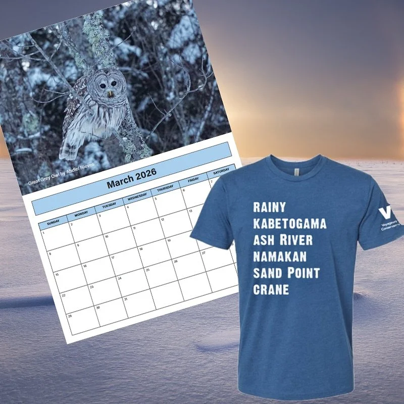🌲🦉 New Voyageurs merch alert! 

Fresh gear has dropped in our store, including the 2026 Voyageurs Calendar featuring stunning photography captured in the park, plus new apparel and gifts inspired by Minnesota&rsquo;s national park.

Even better? Ev