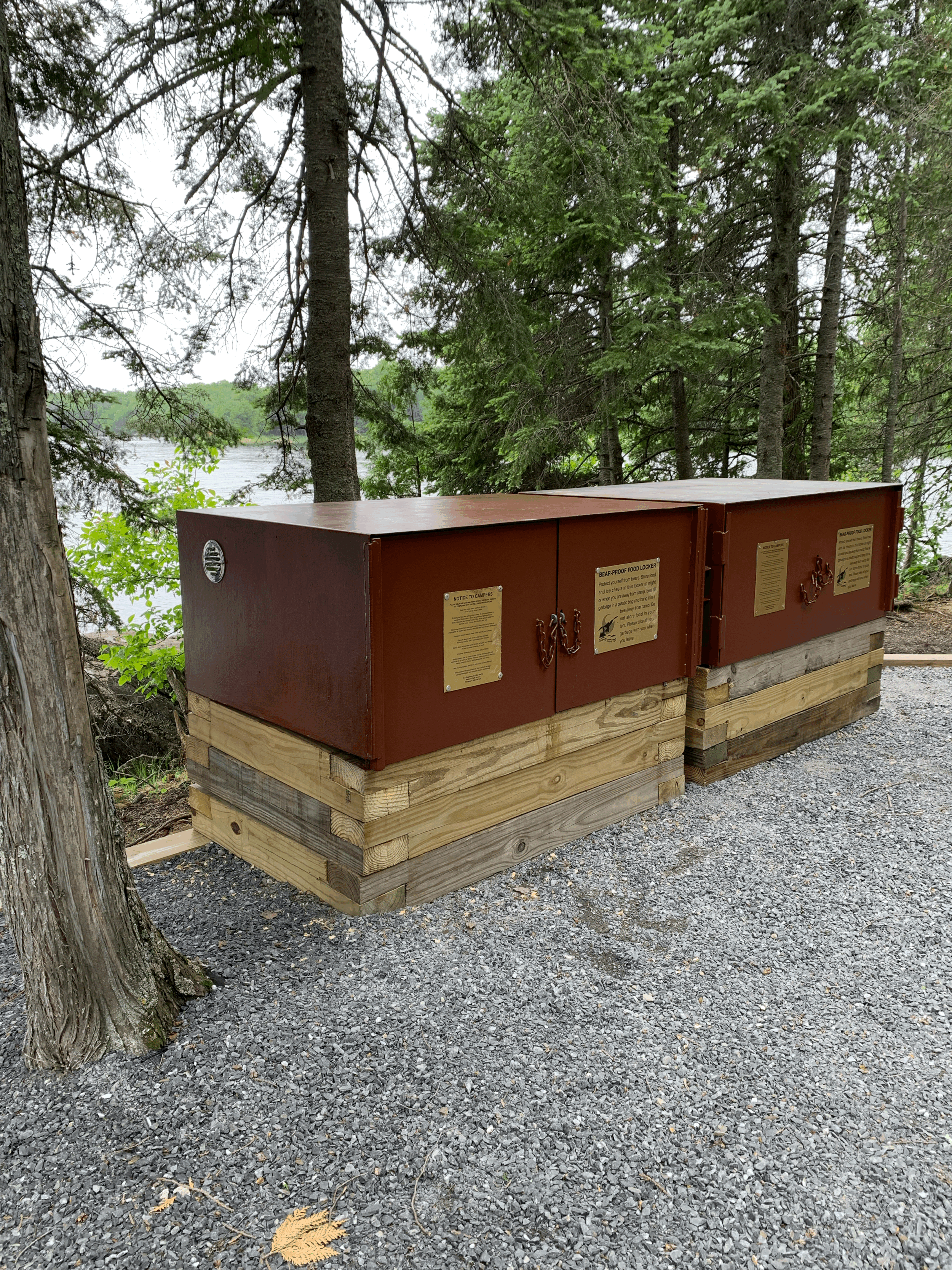 Meet Julia Kanne: Wildlife and Wetland Field Fellow